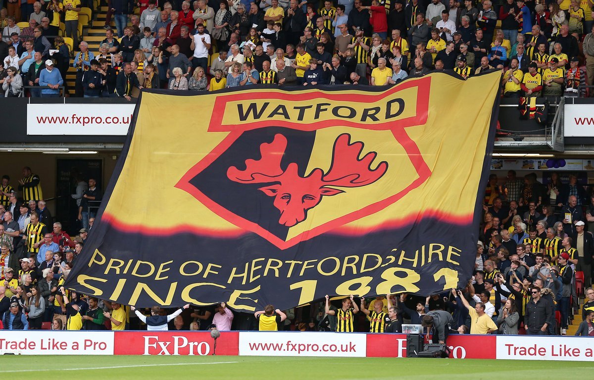Lịch sử thành lập và phát triển của Watford