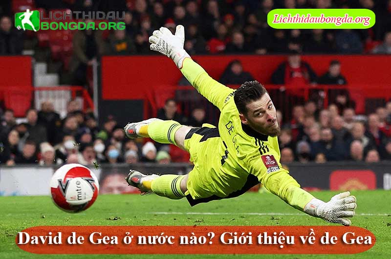 David de Gea ở nước nào? Giới thiệu về de Gea