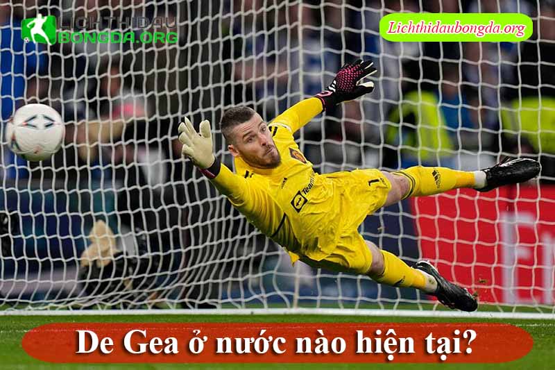 De Gea ở nước nào hiện tại?