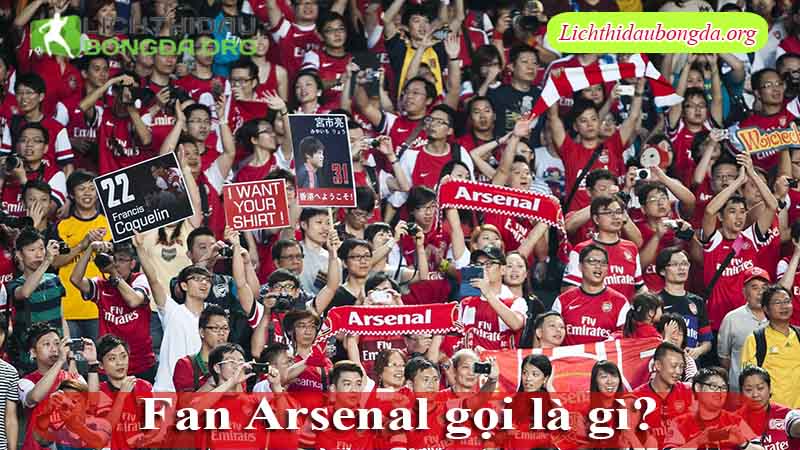 Fan Arsenal gọi là gì?