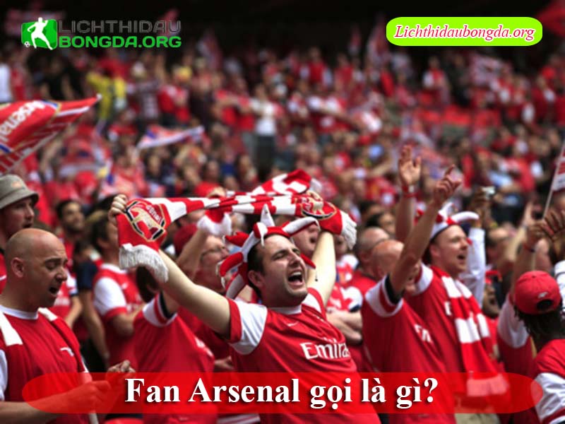 Fan Arsenal gọi là gì?