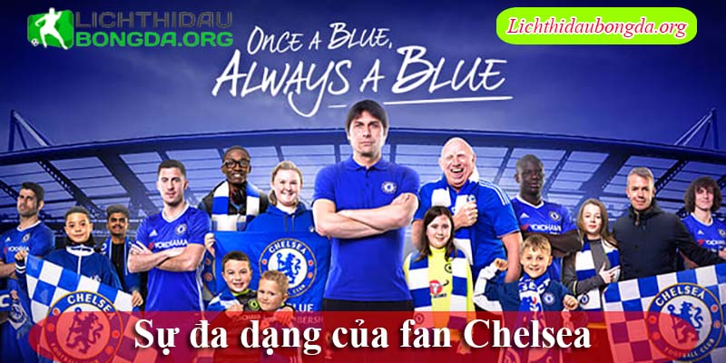 Sự đa dạng của fan Chelsea