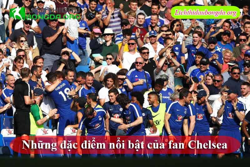 Những đặc điểm nổi bật của fan Chelsea