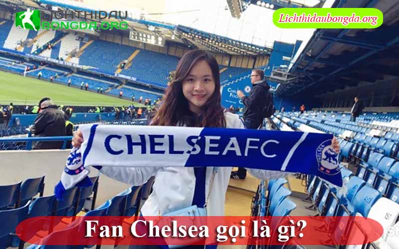 Fan Chelsea gọi là gì?