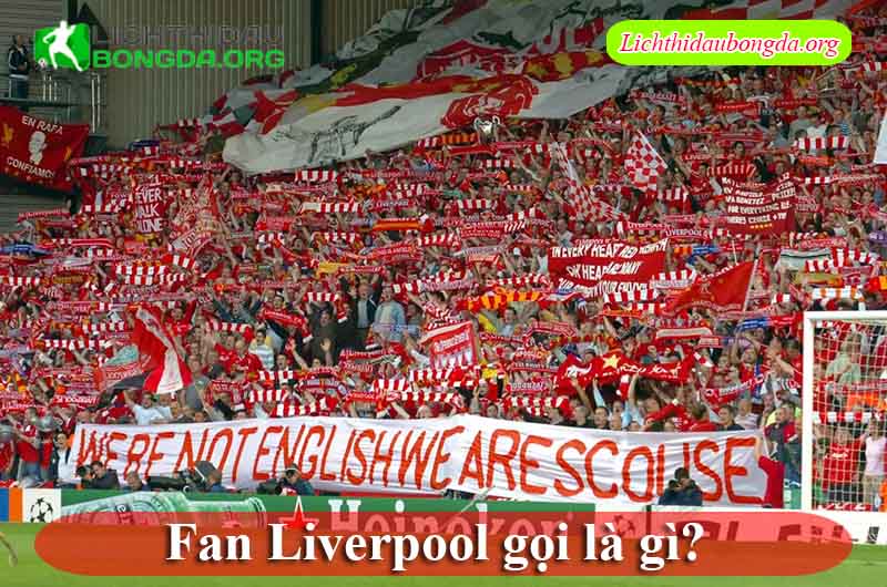 Fan Liverpool gọi là gì?