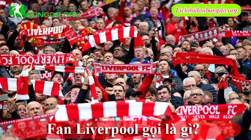 Giới thiệu về Fan Liverpool gọi là gì?