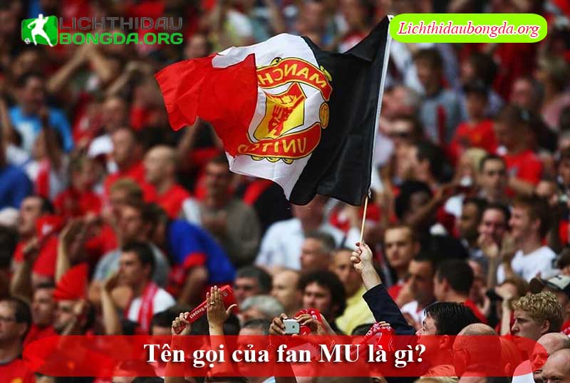 Tên gọi của fan MU là gì?