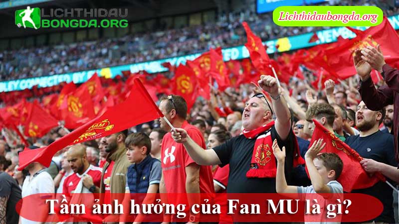Tầm ảnh hưởng của Fan MU là gì?