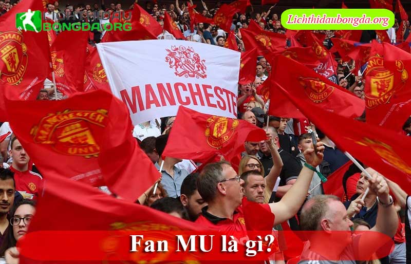 Fan MU là gì?