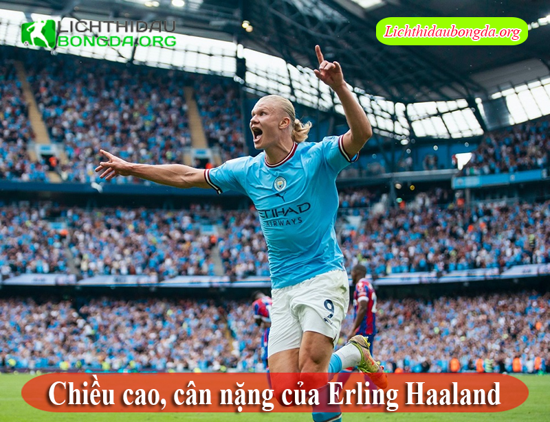 Chiều cao, cân nặng của Erling Haaland