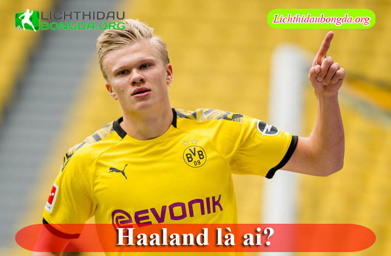 Haaland là ai?