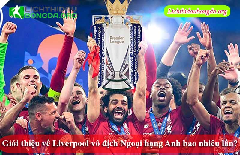 Giới thiệu về Liverpool vô địch Ngoại hạng Anh bao nhiêu lần?