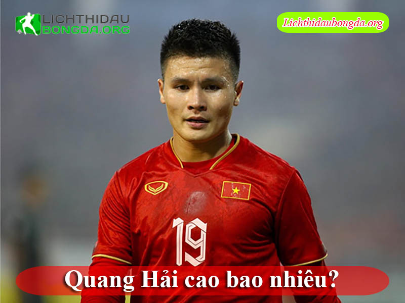 Quang Hải cao bao nhiêu
