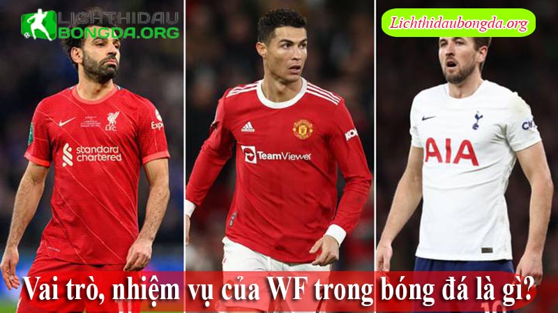 Vai trò, nhiệm vụ của WF trong bóng đá là gì?