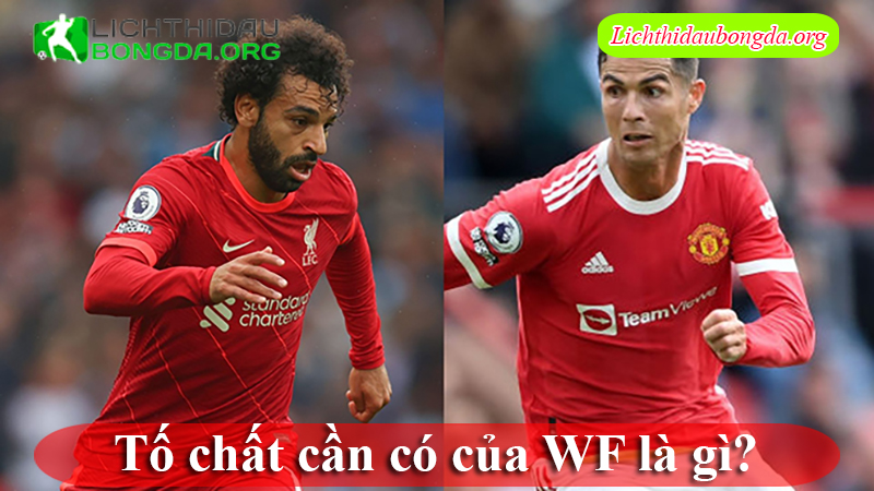 Tố chất cần có của WF là gì?